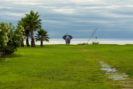 Elephant statue at the beach and sunsetの写真素材