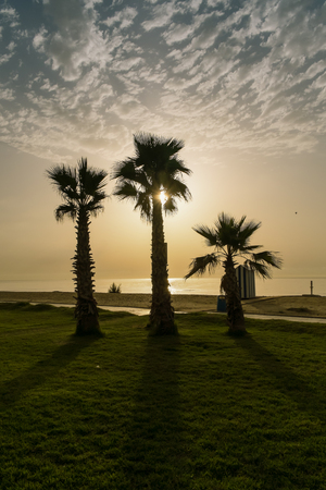 Sunrise on the beach in Spain and palmsの写真素材