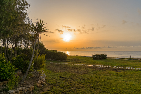 Sunrise on the beach in Spain and palmsの写真素材