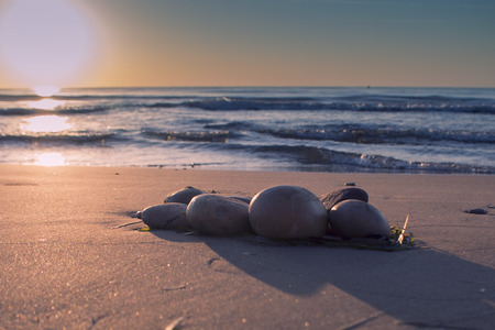 Stones on the beach and relaxの写真素材