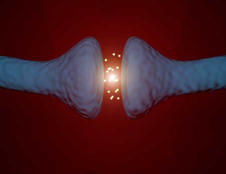 Brain synapse between brain neuronsの写真素材
