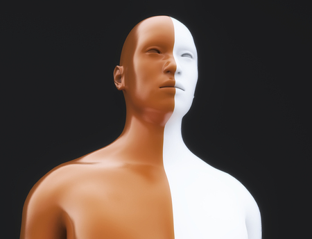 3d rendering. Human body divided into two colorsの写真素材