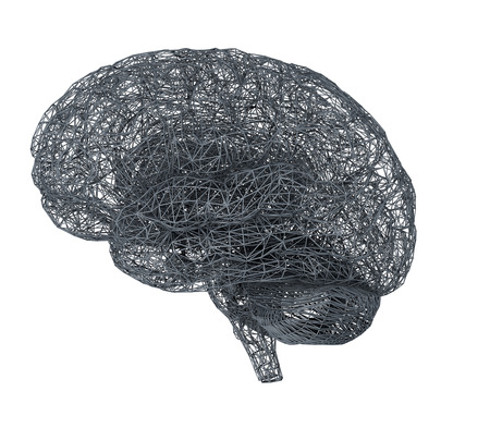 3d brain illustrationの写真素材