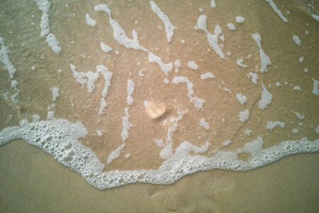 Beach and sand backgroundの写真素材
