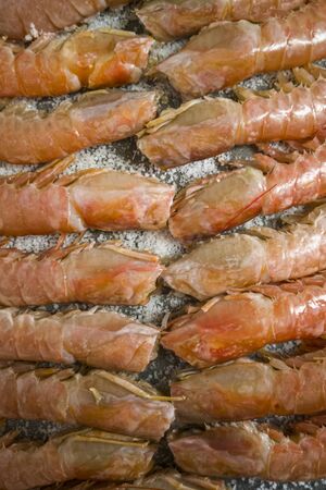 Grilled prawns with fat saltの写真素材