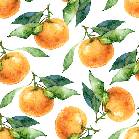 Seamless pattern of tangerine with leaves. Watercolor illustrationの写真素材