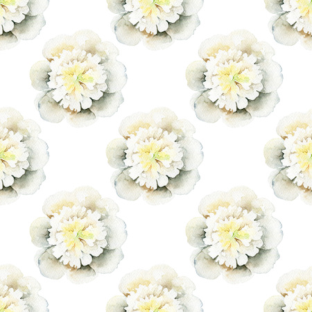 Seamless pattern with white peony. Watercolor illustrationの写真素材