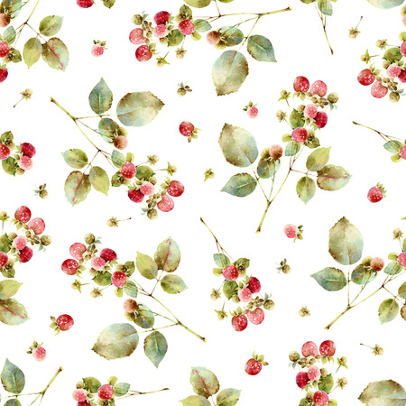 Raspberry twigs. Seamless patternの写真素材