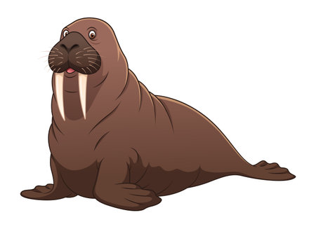 Walrus Cartoon Animal Illustrationのイラスト素材