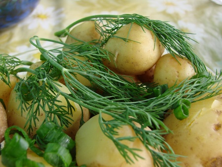 early appetizing potatoes with verdureの写真素材