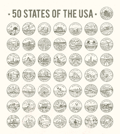 50 States of the USA on white background, vector illustration.のイラスト素材
