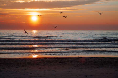 Beautiful sunset over the sea with birds.の写真素材