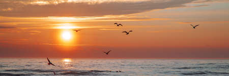 Beautiful sunset over the sea with birdsの写真素材