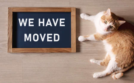 Red cat lying on the floor with blurred the poster in the frame with the words We Have Moved.の写真素材