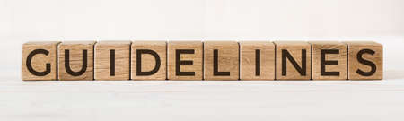 Wooden cube with word GUIDELINES on light background. Concept image.の写真素材