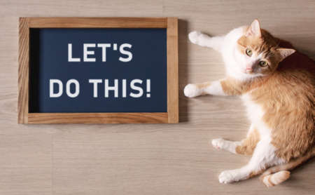 Red cat with blurred the poster in the frame with the words Let's Do This.の写真素材