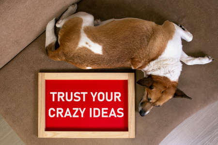 Dog lying on the sofa with a red poster in the frame with a message Trust Your Crazy Ideas.の写真素材