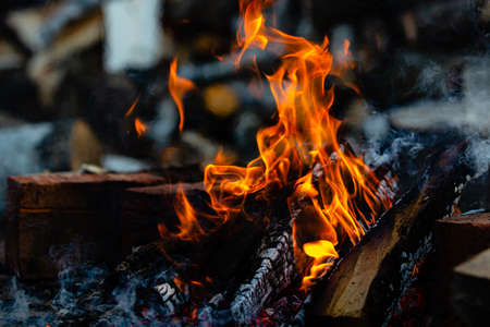 Campfire in nature close up. Flames of fire. A blurred chocks background.