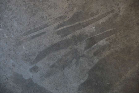 gray abstract background on cement floor with stains and texturesの写真素材