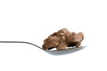 Spoon in the spoon, earth