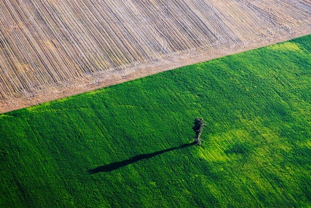 Aerial view over the green fieldの写真素材