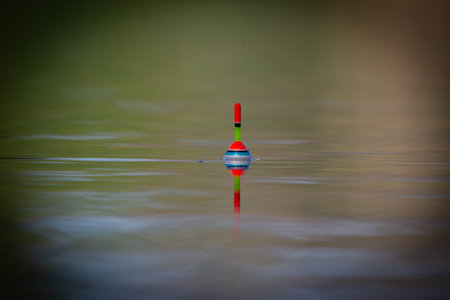 Fishing float on the water with blurred background and copy space.