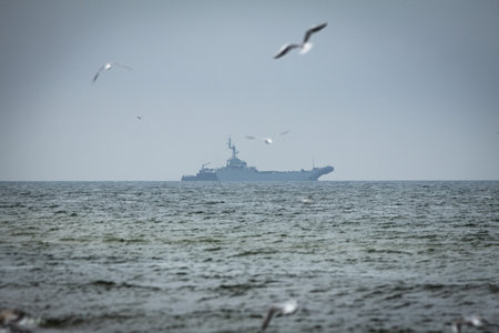 Seagulls flying in front of a ship, dynamic coastal and nature shooting.の写真素材