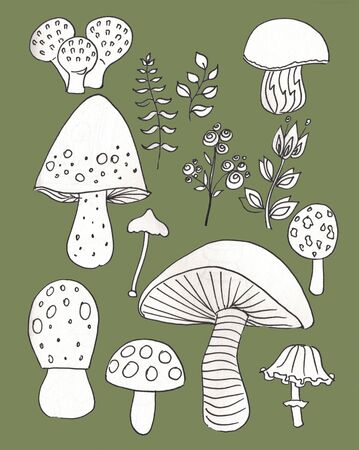 Mushroom hand drawn sketch illustration