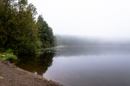 Misty Morning At Lakeの写真素材