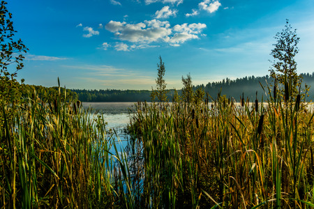 Morning at lakeの写真素材