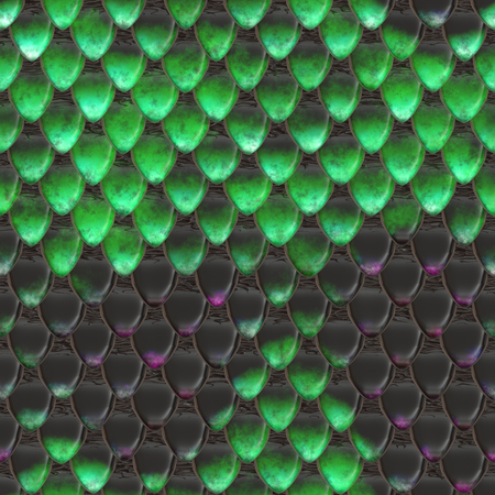 Snake scalesの写真素材