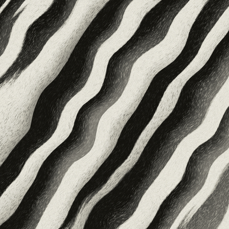 Black and White wavesの写真素材