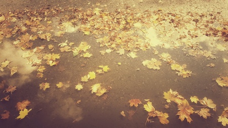 Reflecting sky to ground.の素材