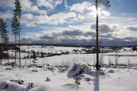 Winter natureの写真素材