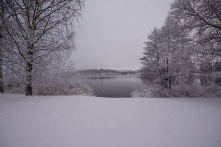 Winter natureの写真素材
