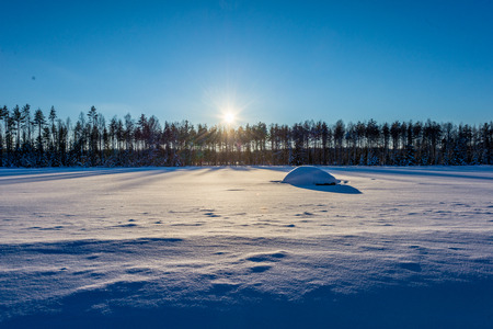 Winter natureの写真素材