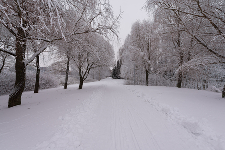 Winter natureの写真素材