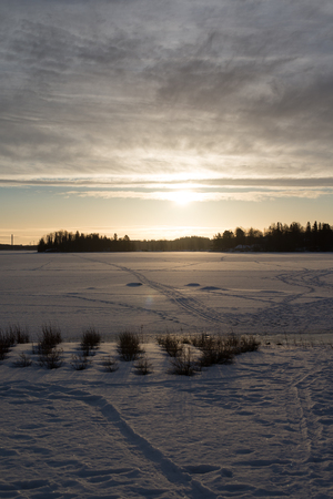 Winter natureの写真素材