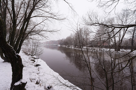 Winter natureの写真素材