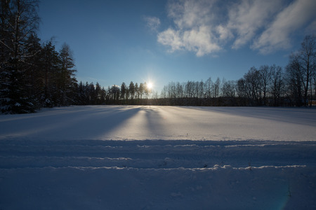 Winterの写真素材