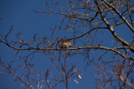 On the Treeの写真素材