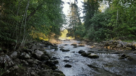 Morning at riverの素材