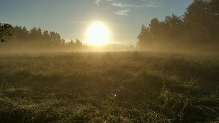 Morning lightの素材