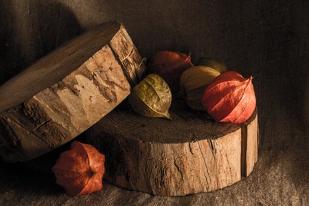 Still life. Physalis on wood.の写真素材
