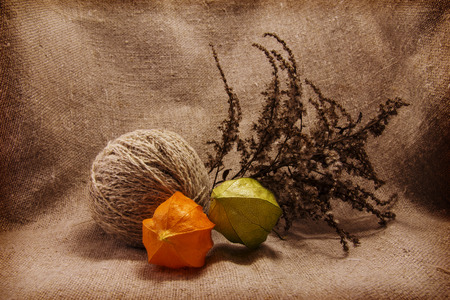 Physalis and a tangle of woolen threads on a background of sacking.の写真素材