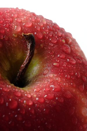 Red appleの写真素材