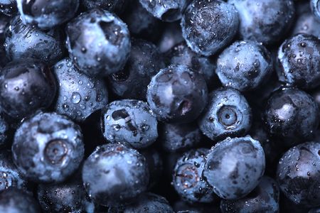 Macro shot of wet fresh blueberryの写真素材