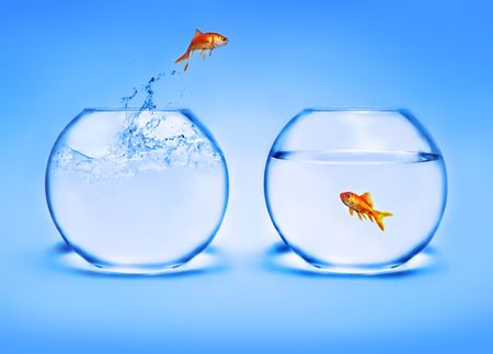 goldfish jumping out of the waterの写真素材