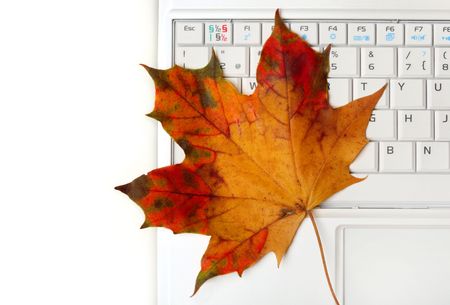Laptop keyboard and  Autumn leafの写真素材