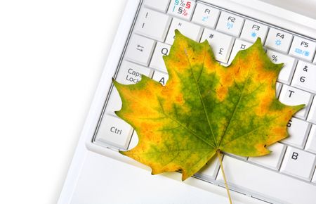 Laptop keyboard and  Autumn leafの写真素材